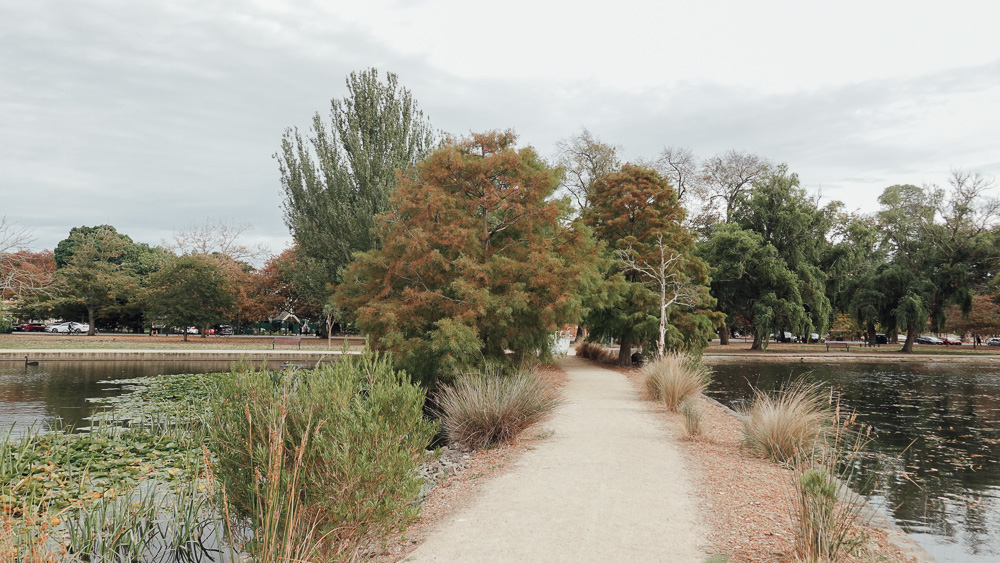 Ballarat 小鎮的黃金時代:Lake Wendouree.Botanical Garden 植物園|澳洲.維州 - 第6張圖