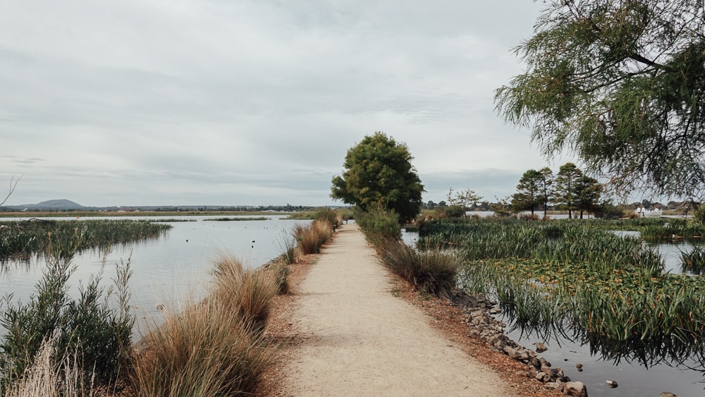 Ballarat 小鎮的黃金時代:Lake Wendouree.Botanical Garden 植物園|澳洲.維州 - 第9張圖